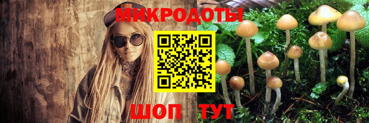 Кировск  Галлюциногенные грибы мицелий  Псилоцибиновые грибы прущие грибы  Вход с VPN 