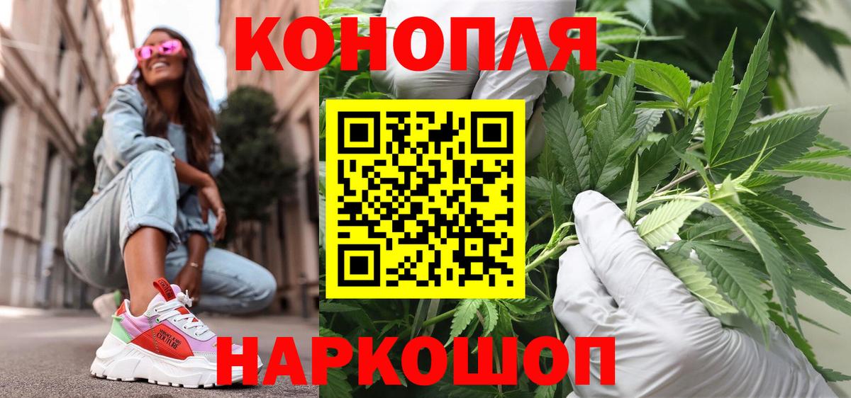 Марихуана план  Бошки Шишки LSD WEED  Кировск  Канабис Bruce Banner  Вход с VPN  Каннабис White Widow 